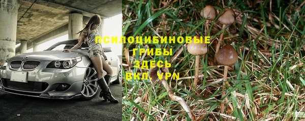 сатива Богородицк