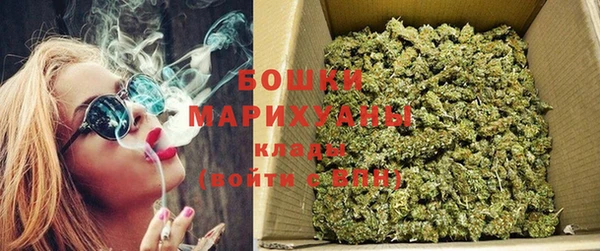 сатива Богородицк