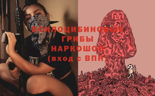 a pvp Богородск