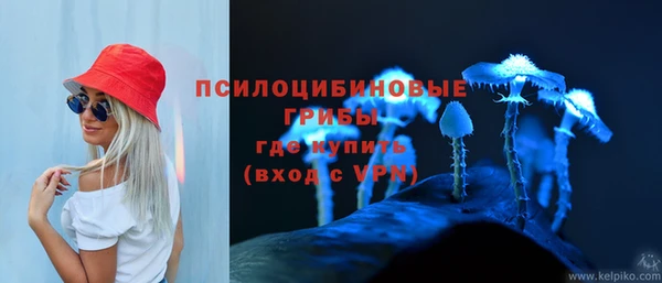 PSILOCYBIN Богданович