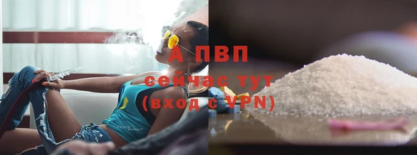 PSILOCYBIN Богданович