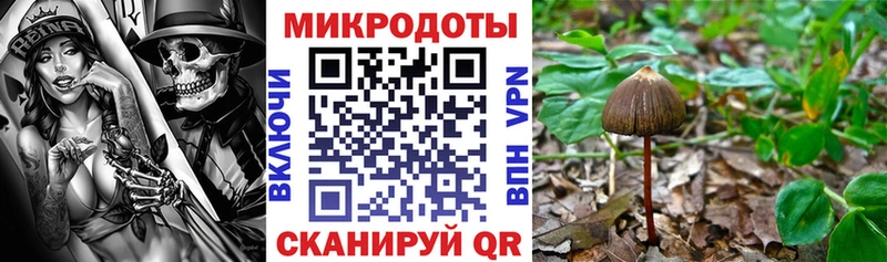 Псилоцибиновые грибы Magic Shrooms  Купить где  Россошь 